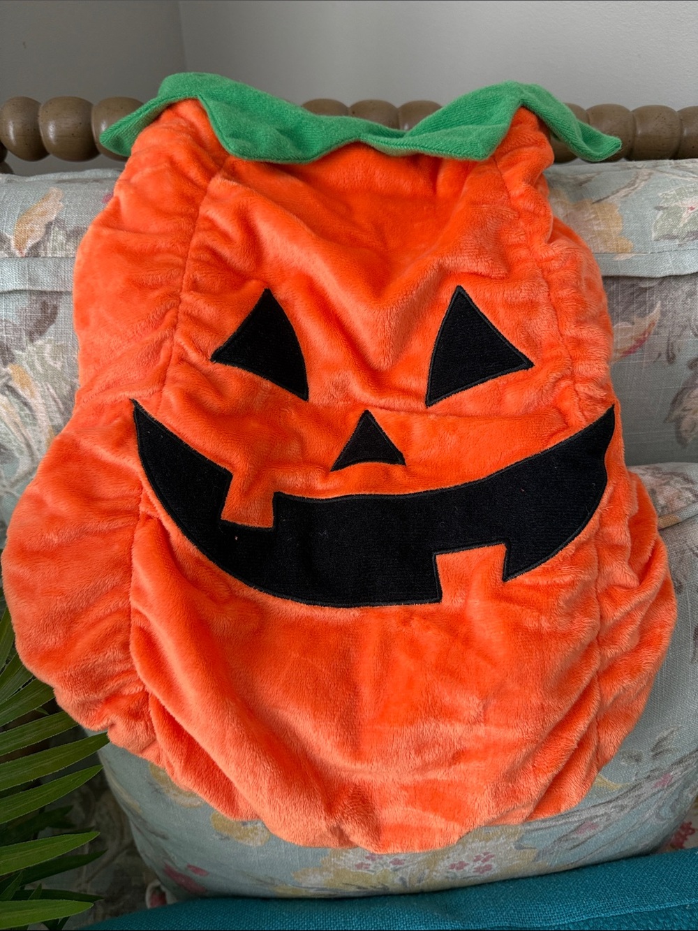 Medium Pumpkin Dog Costume